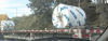 1584119969067.png