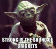 Yoda Crickets.jpg