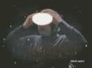 giphy (2).gif giphy (2).gif