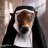 Holy_Cow